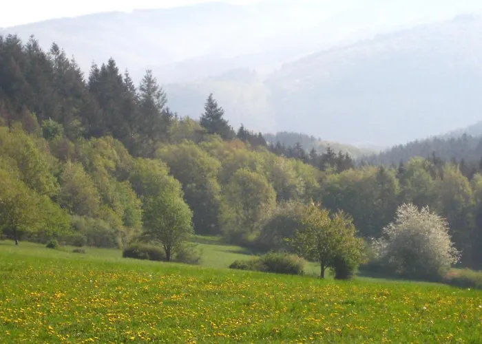 Апартаменты Erika Wimbach