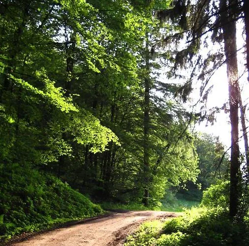 Апартаменты Erika *