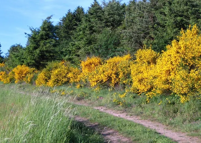 Erika 公寓 Wimbach