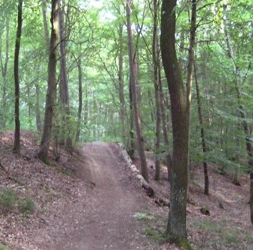 Erika Апартаменты Wimbach